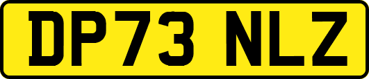 DP73NLZ