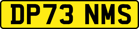DP73NMS