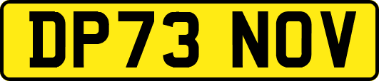 DP73NOV