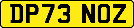 DP73NOZ