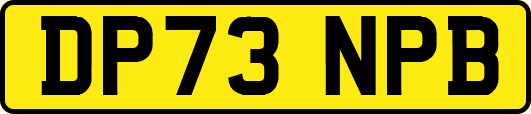 DP73NPB
