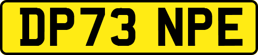 DP73NPE
