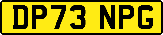 DP73NPG