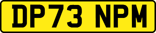 DP73NPM