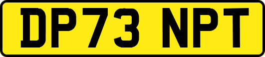 DP73NPT