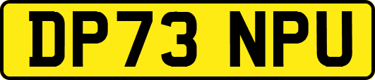 DP73NPU