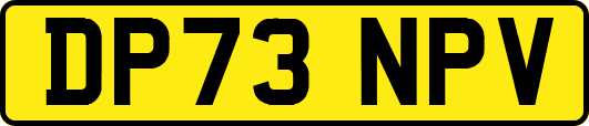 DP73NPV