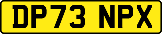 DP73NPX