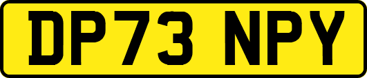 DP73NPY