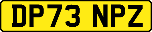 DP73NPZ