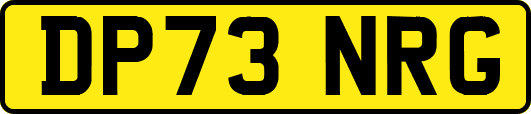 DP73NRG