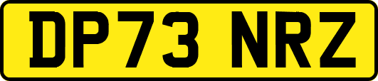 DP73NRZ