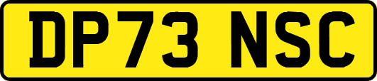 DP73NSC