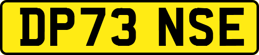 DP73NSE