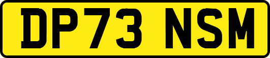 DP73NSM
