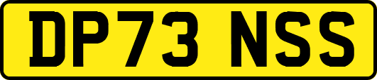 DP73NSS