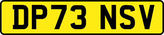 DP73NSV