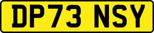 DP73NSY