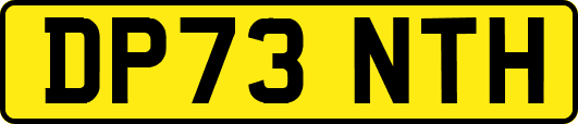 DP73NTH