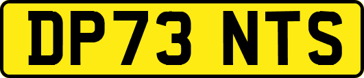 DP73NTS