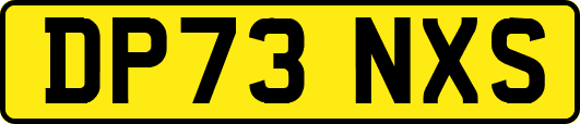 DP73NXS