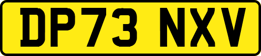 DP73NXV