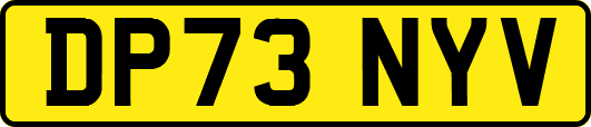 DP73NYV