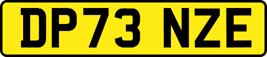DP73NZE