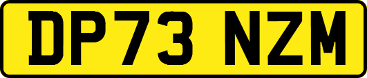DP73NZM