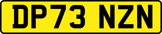 DP73NZN