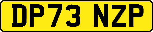DP73NZP