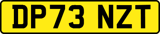 DP73NZT