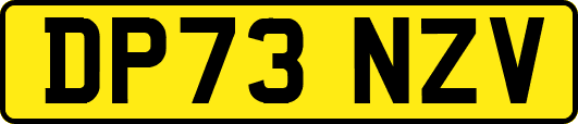 DP73NZV