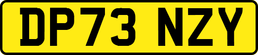DP73NZY