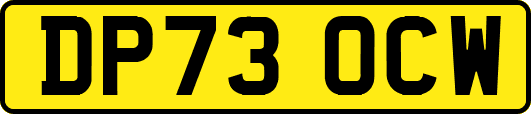 DP73OCW