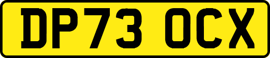 DP73OCX