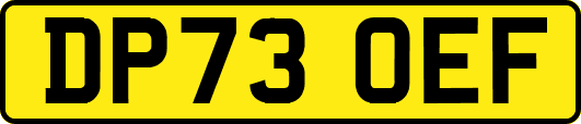 DP73OEF