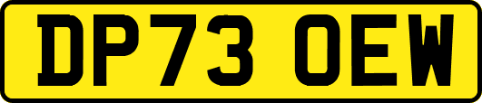 DP73OEW