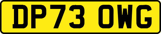 DP73OWG