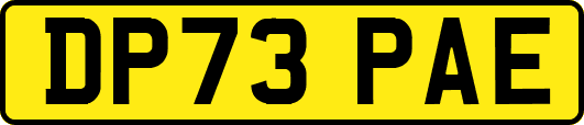 DP73PAE