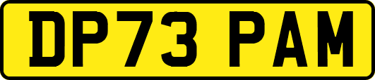 DP73PAM