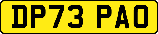 DP73PAO