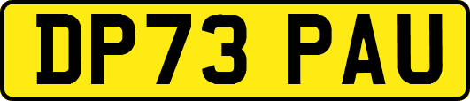 DP73PAU
