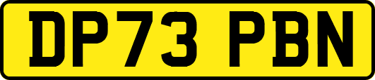 DP73PBN