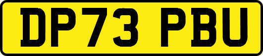 DP73PBU