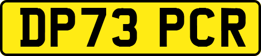 DP73PCR