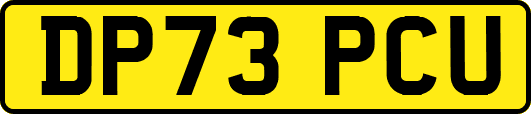 DP73PCU