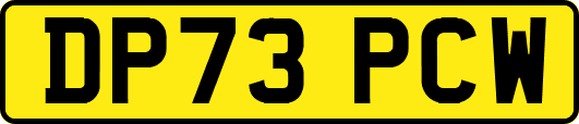 DP73PCW