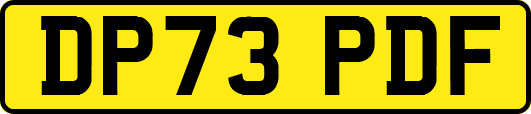 DP73PDF
