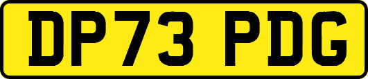 DP73PDG